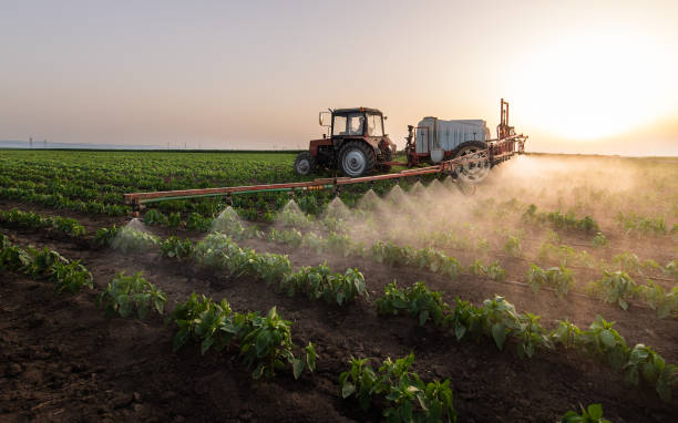 Best Mosquito Control Services  in Highlands Ranch, CO