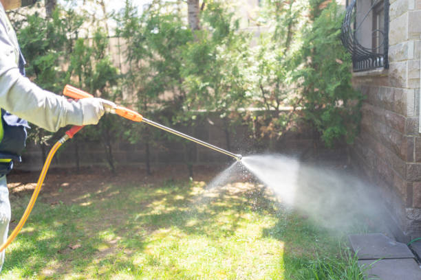 Best Best Pest Control Companies  in Highlands Ranch, CO